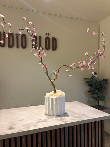 Vaxkörsbärsträd två gran